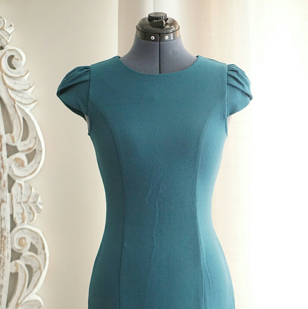 H&M Tulip Sleeve Dress